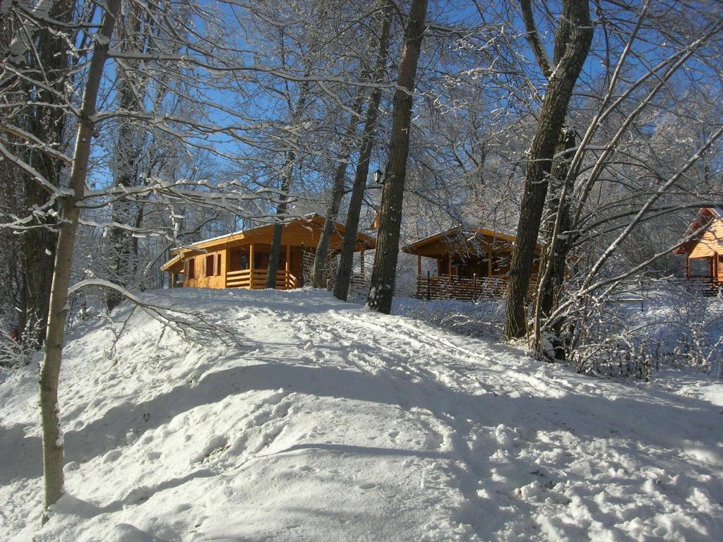 Camping, De Plein Air Les Cariamas 3*